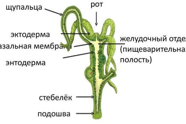 Кракен зеркало krk market com