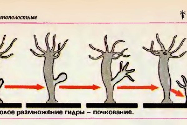 Кракен новый сайт